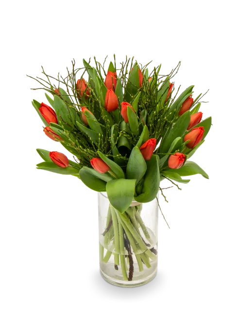 Bouquet of red tulips